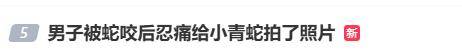 随意放生“五步蛇”？被毒蛇咬伤，这一动作能“保命”