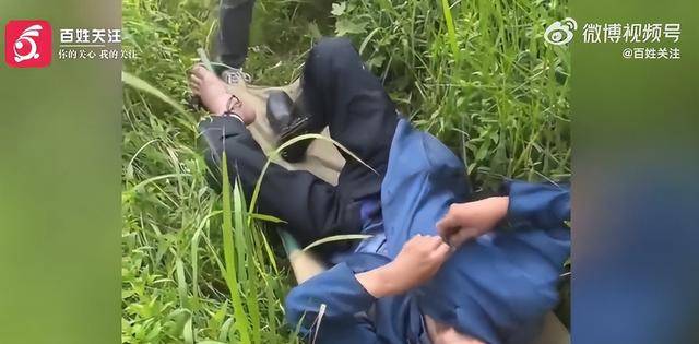随意放生“五步蛇”？被毒蛇咬伤，这一动作能“保命”