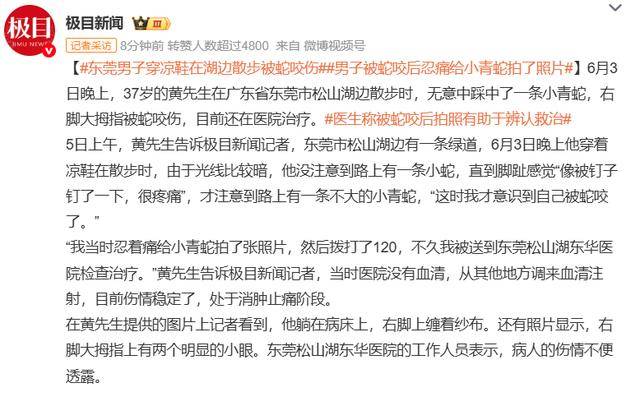 随意放生“五步蛇”？被毒蛇咬伤，这一动作能“保命”