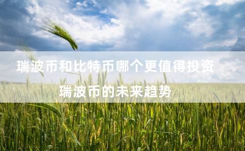 瑞波币投资(瑞波币多少钱一个)